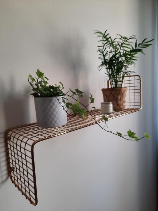 Apartament W Centrum Wroclawia Apartment Ngoại thất bức ảnh