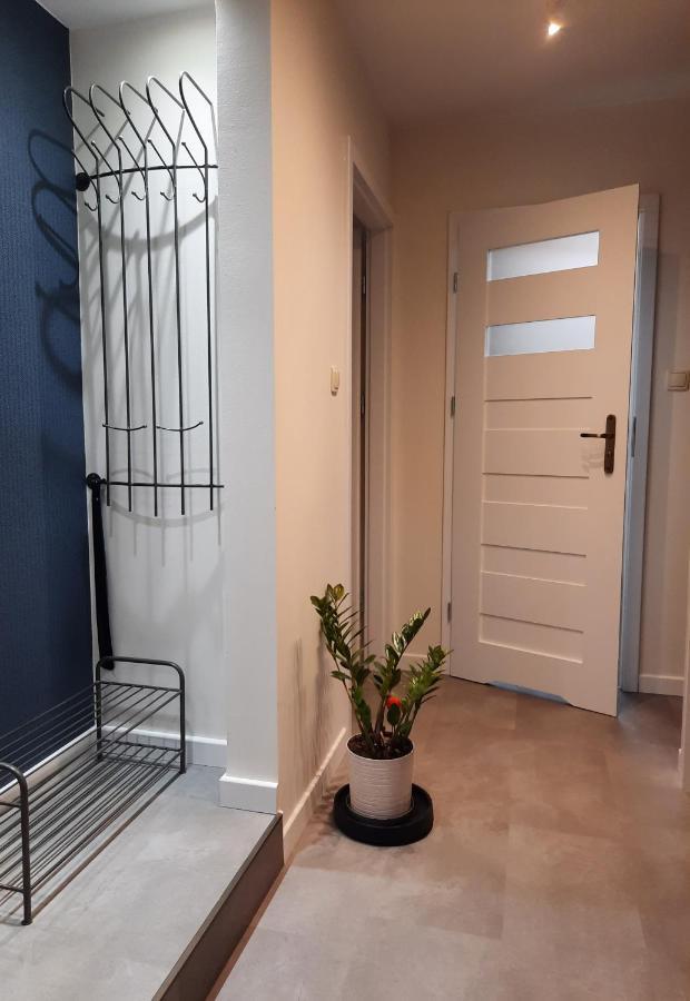 Apartament W Centrum Wroclawia Apartment Ngoại thất bức ảnh